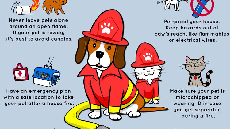 Fire Pet Safety Measures