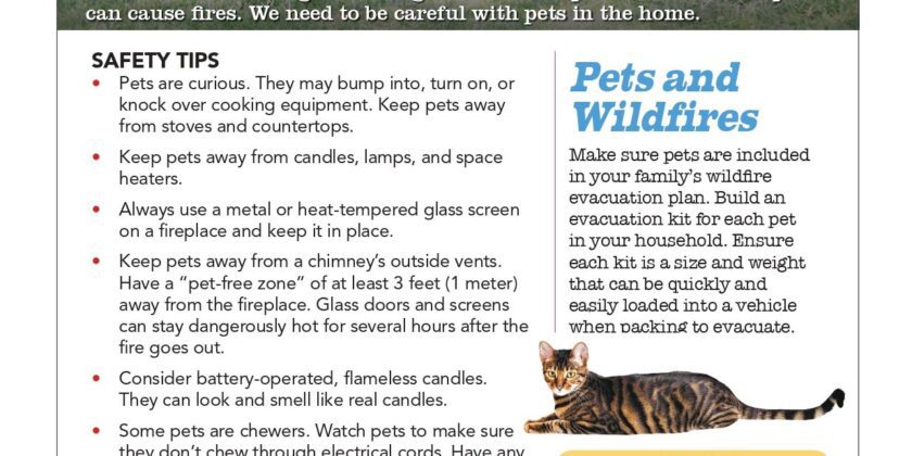 Pet Fire Safety Information — Tips