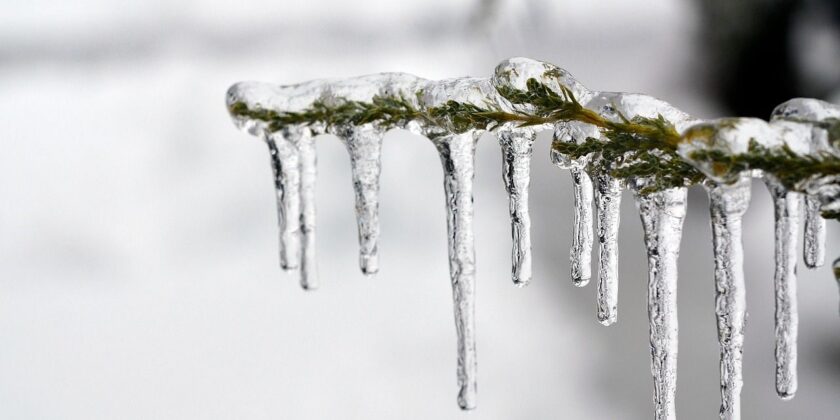 Cold Conditions – PowerLines – Safety Tips