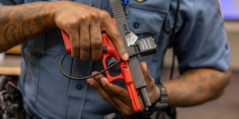 FireArm Safety Training
