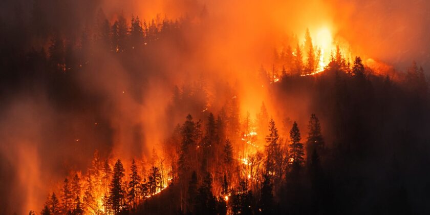 Wildland Firefighter Remembrance Week