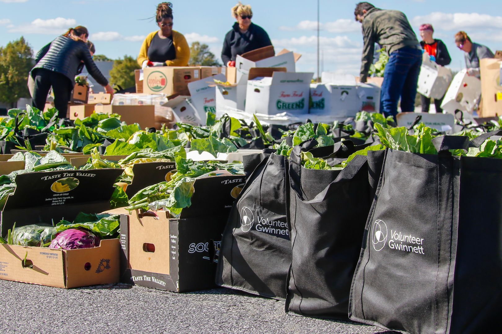Fresh Food Drive Away
