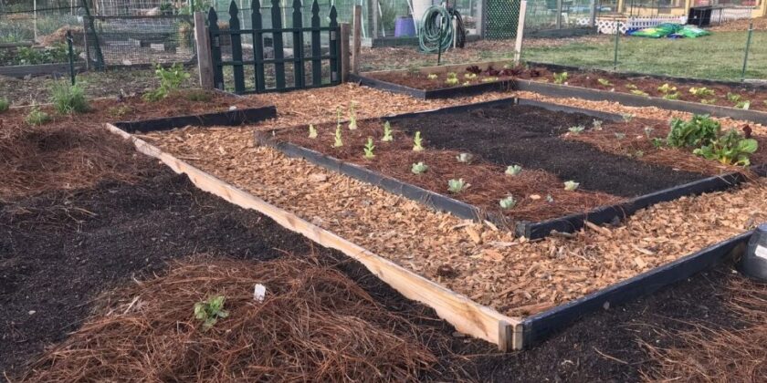 WaterWise Landscaping Workshop
