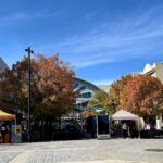 Fall Festival -- Mall of Georgia-15