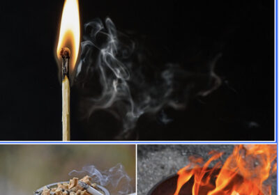 Fire