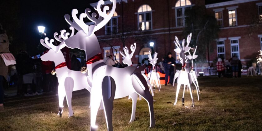 38th Annual Lighting Tree At Gwinnett Historic Courthouse!