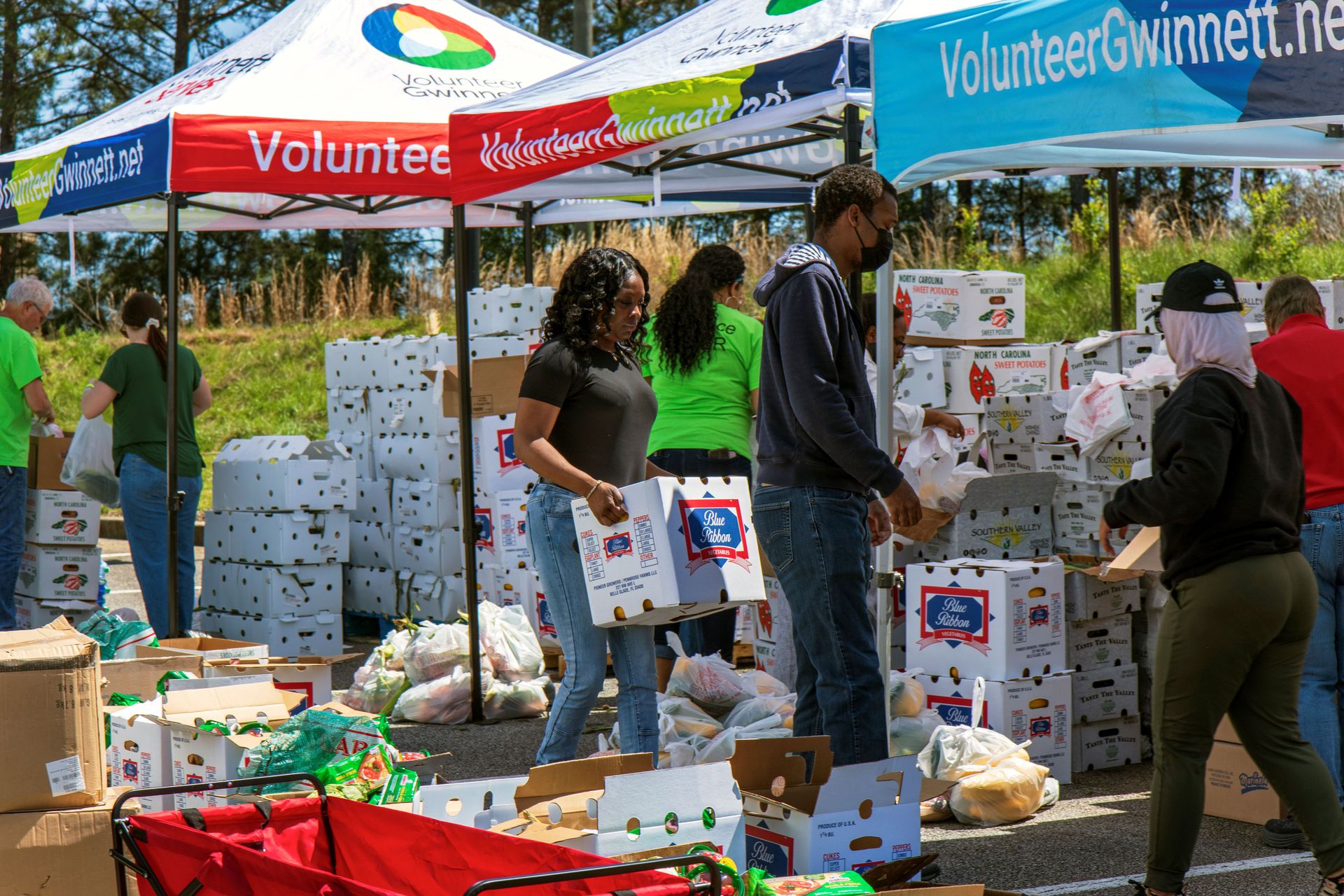 Food Distribution – Lenora Park – 04-Nov-2025