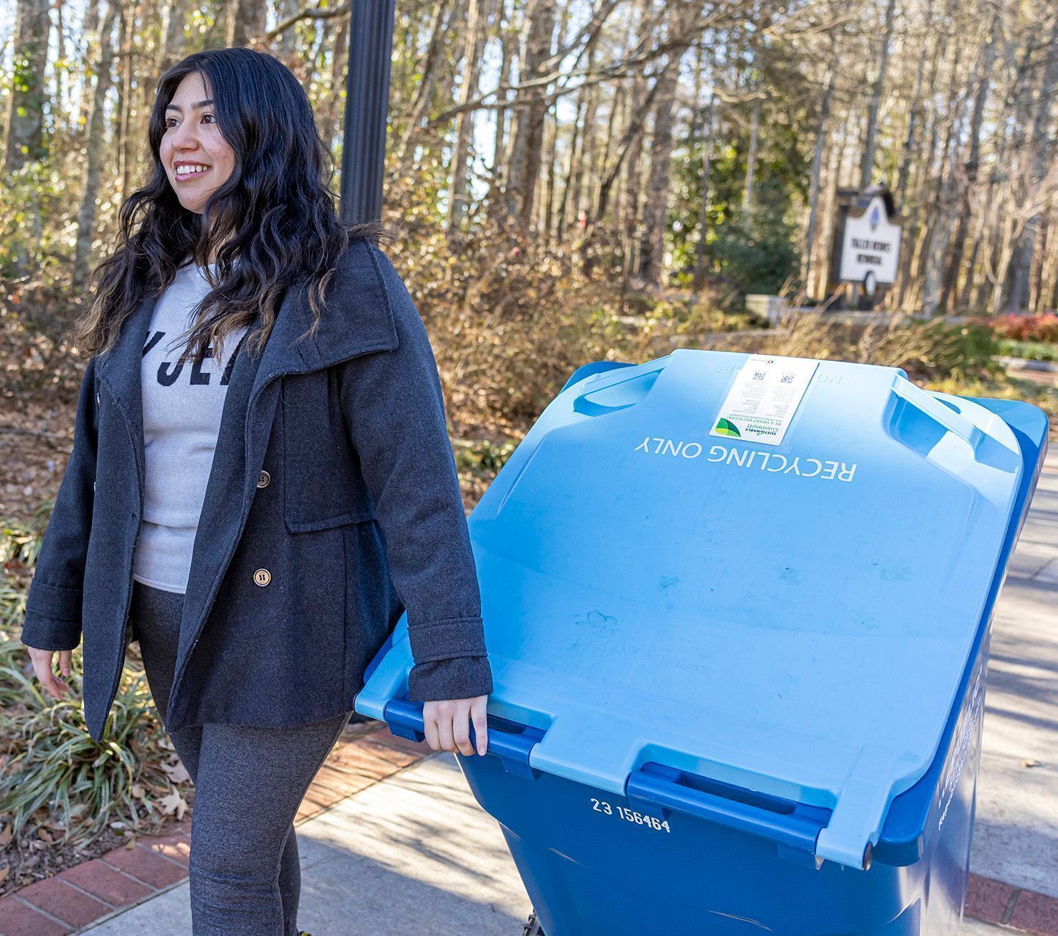 Request For Recycling Cart