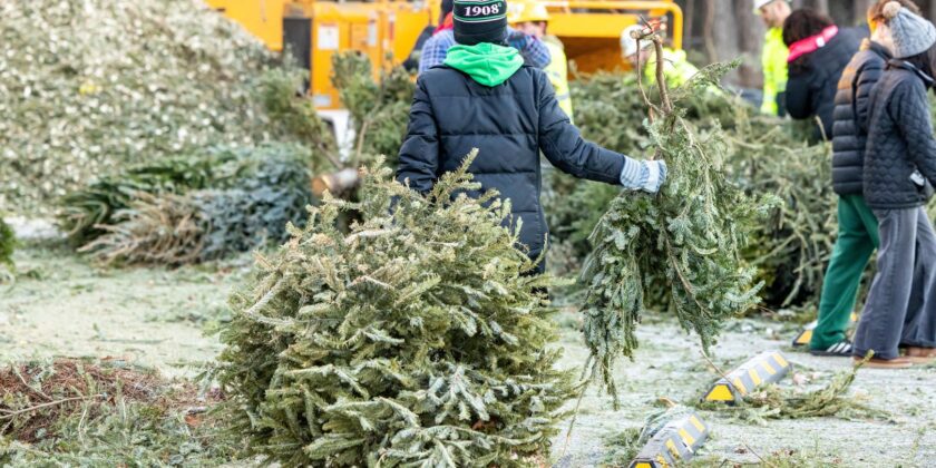 Christmas Tree Chipper – Drop Tree in FireStation -(Dec-16 till Jan-24)