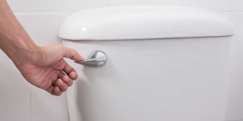 Flush Toilets – Tips To Avoid Clogging