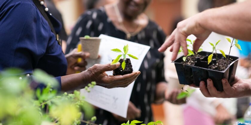 Annual UGA Plant Sale