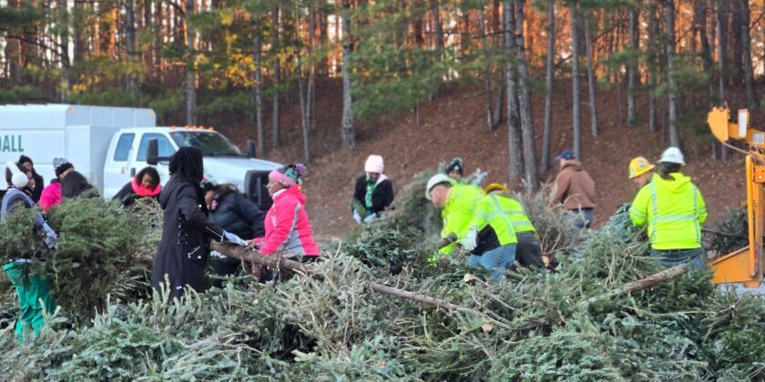 Bring One for the Chipper for Chritmas Trees – 31-Jan-2026