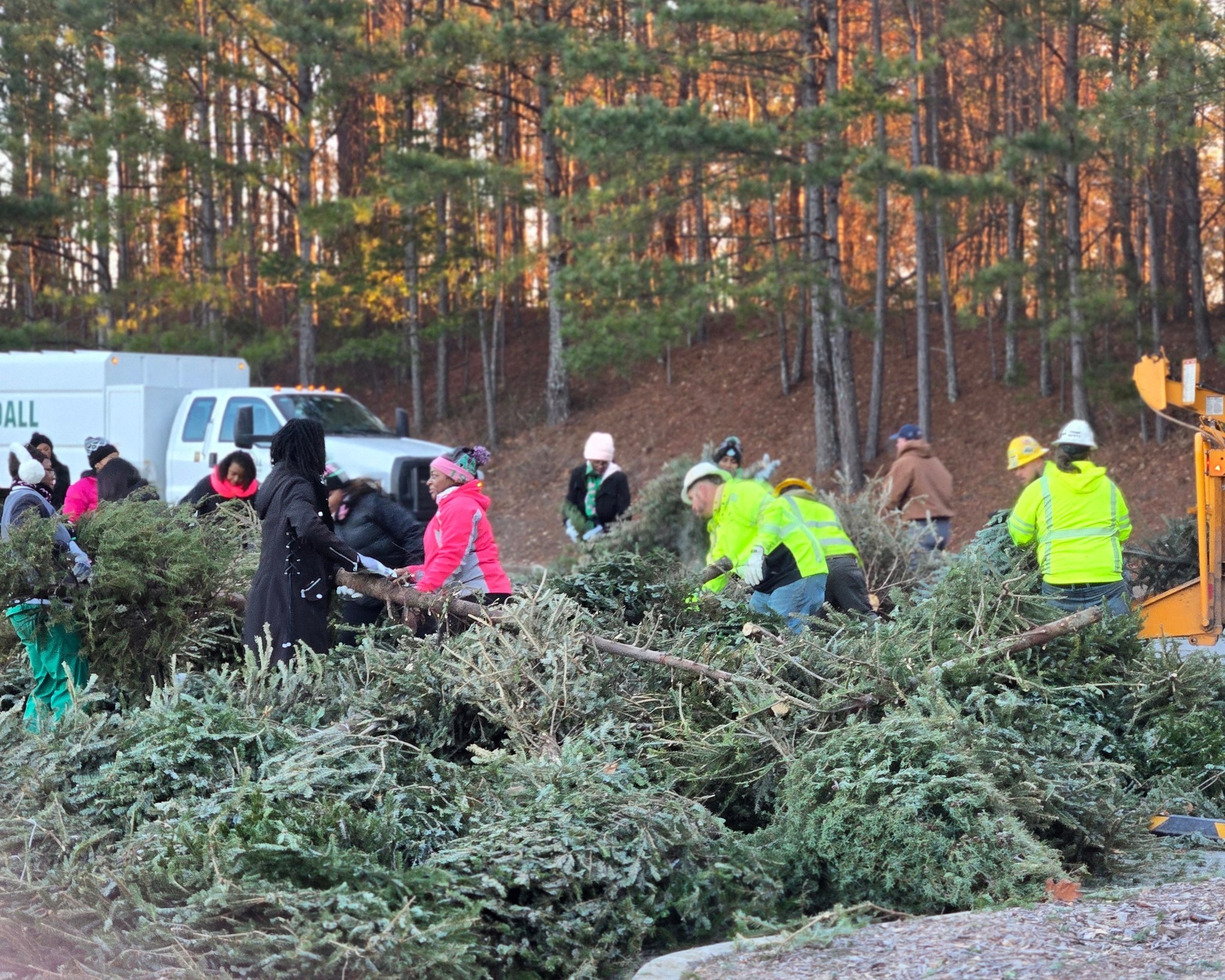 Bring One for the Chipper for Chritmas Trees – 31-Jan-2026