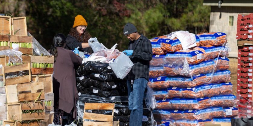 Food Distribution – Rhodes Jordan Park – 13-Jan-2026