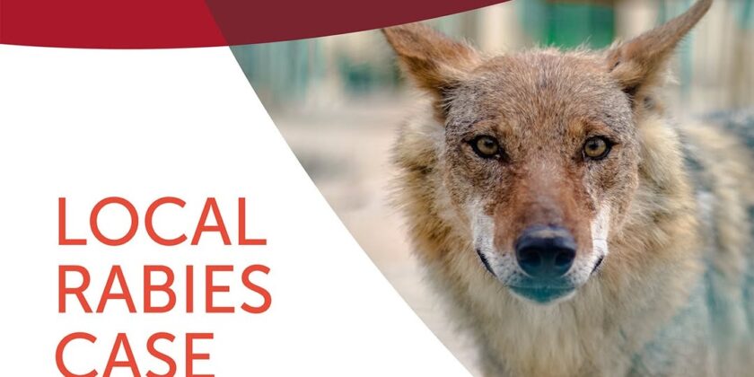 Local Rabies Case – Alert