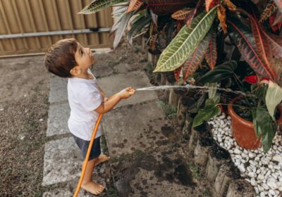 Water Conservation Tips