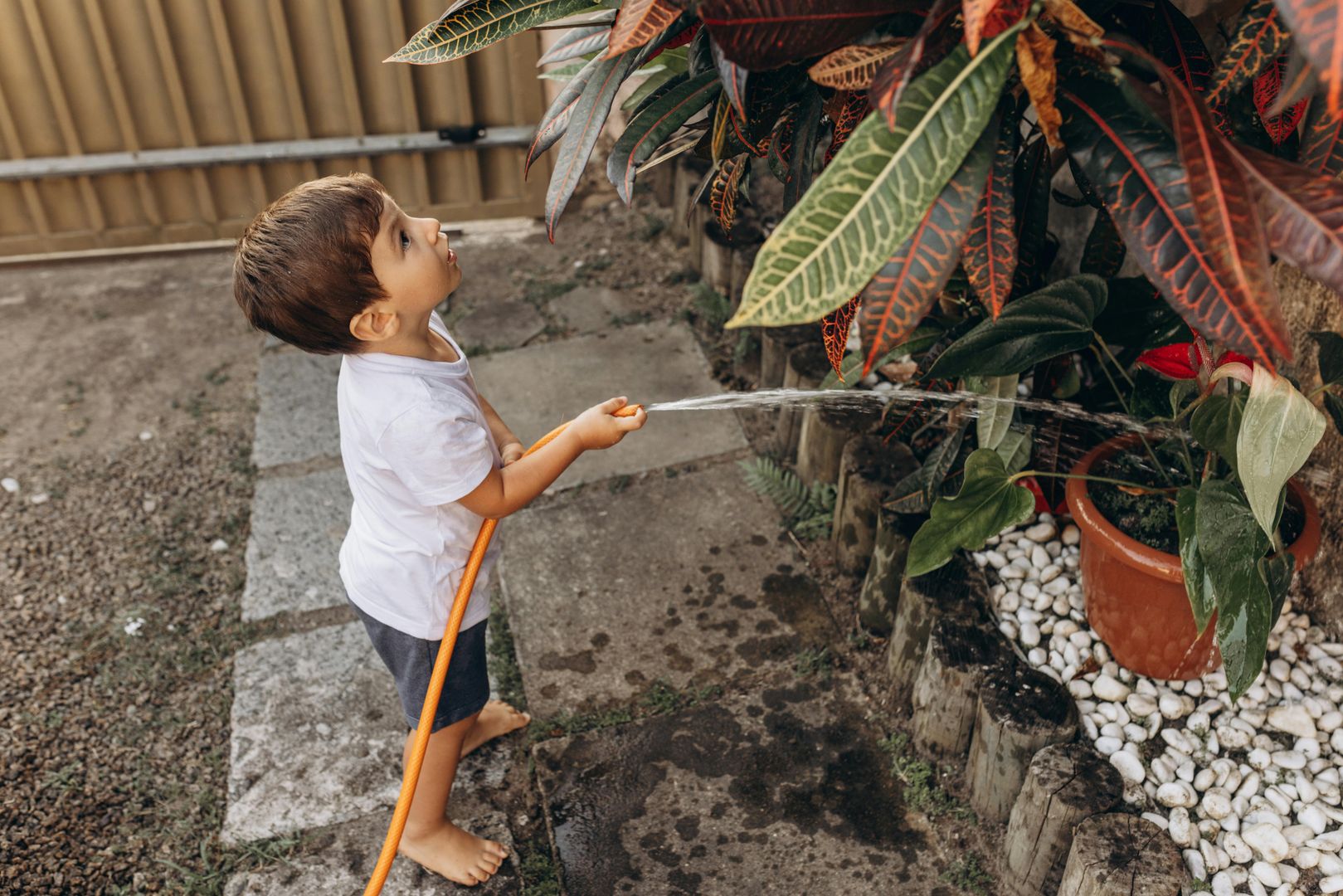 Water Conservation Tips